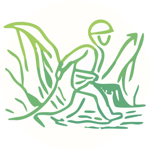 picto niveau sportif 2